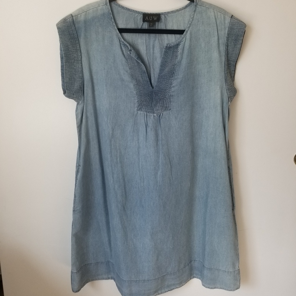 AUW (As U Wish) | Size 10 Chambray Shift Dress